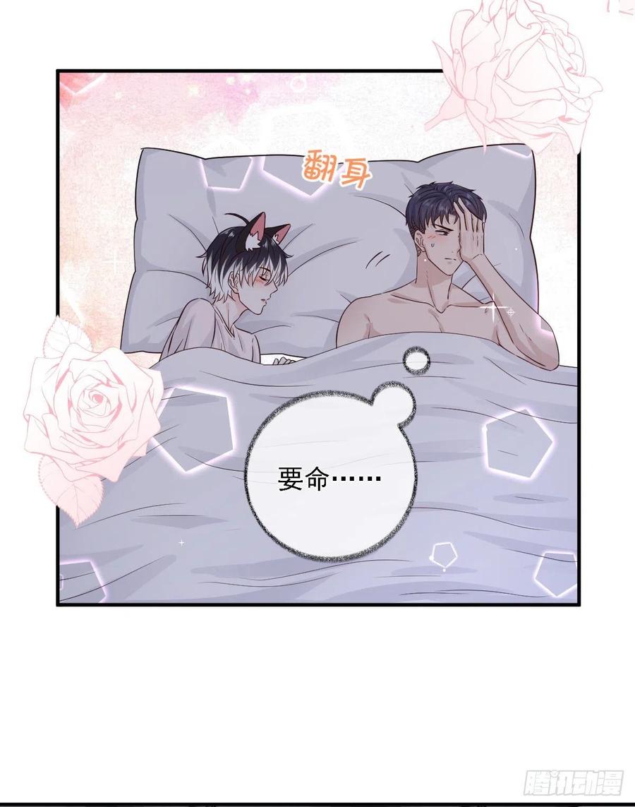 恋爱烦恼喵~5