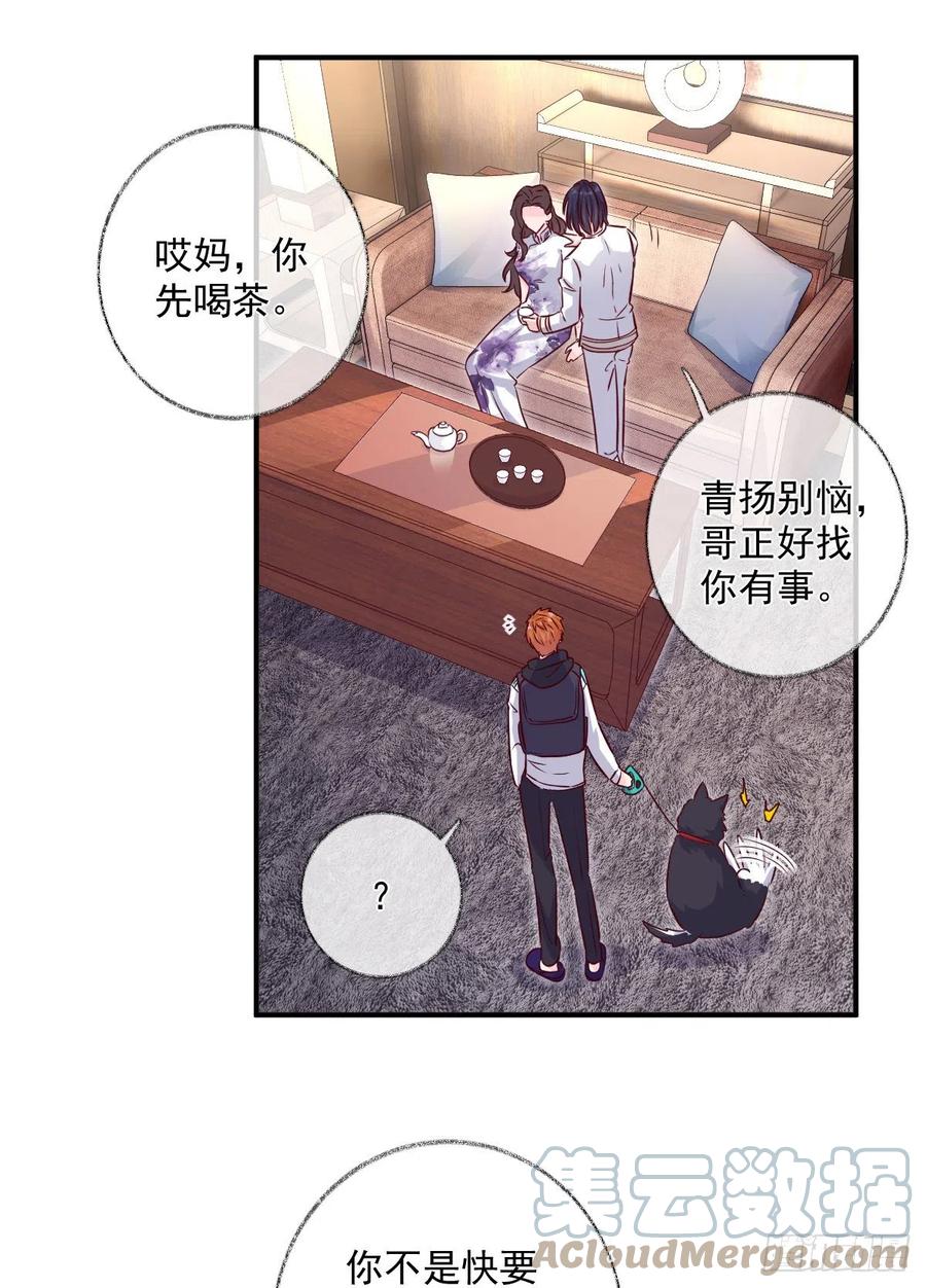 林总上任喵～30