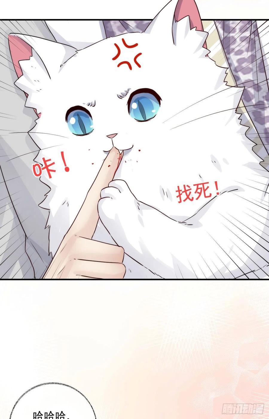 还是我不对劲喵~13
