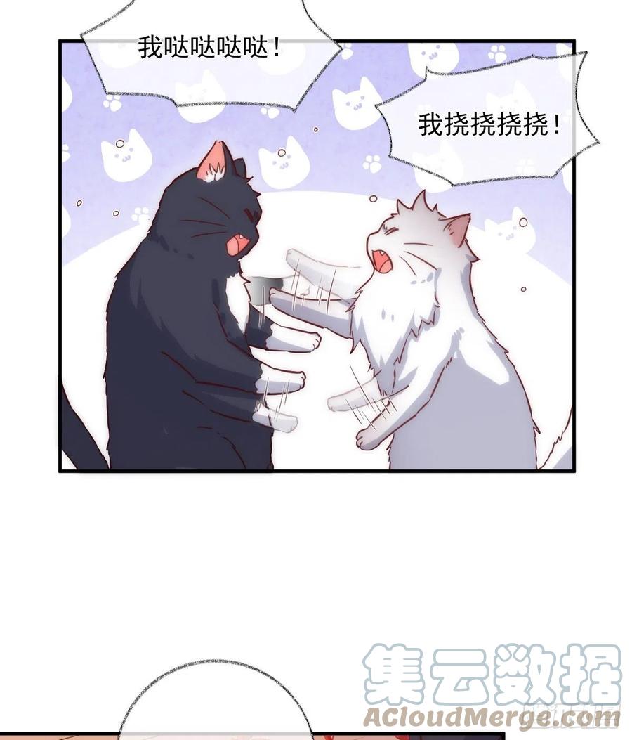说不出再见喵~28