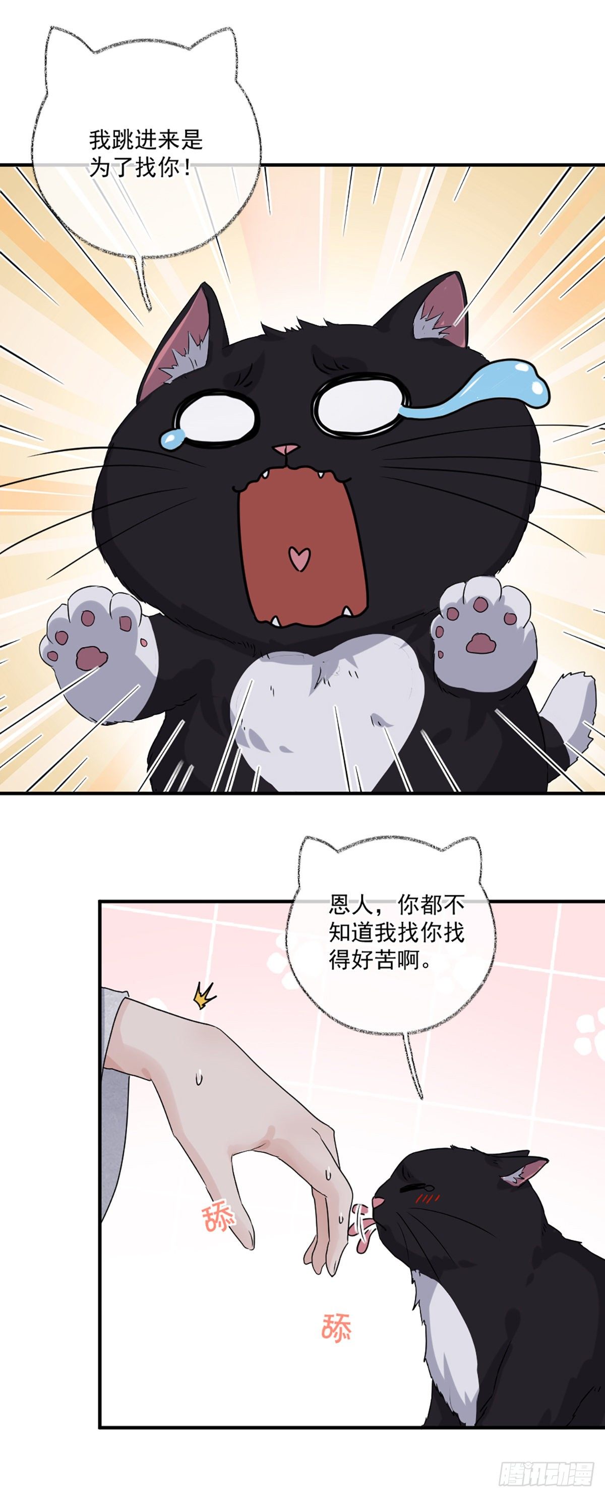 恩人嘴硬心软喵~11