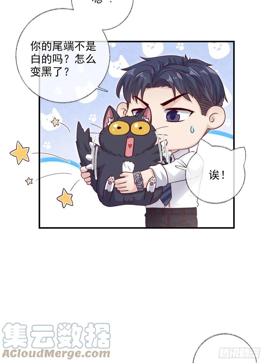 你我的见证喵~28