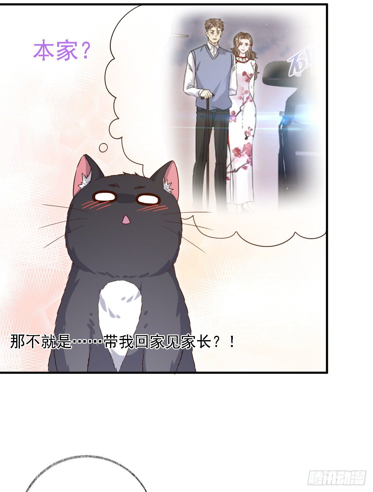 要见家长了怎么办喵？32