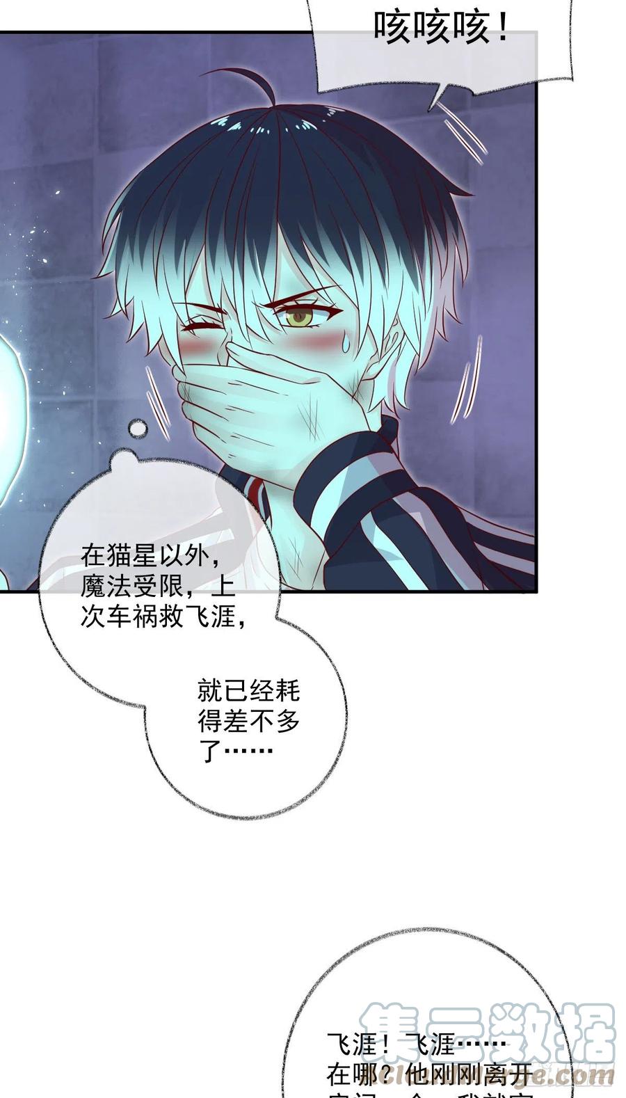 无差别报复喵~16