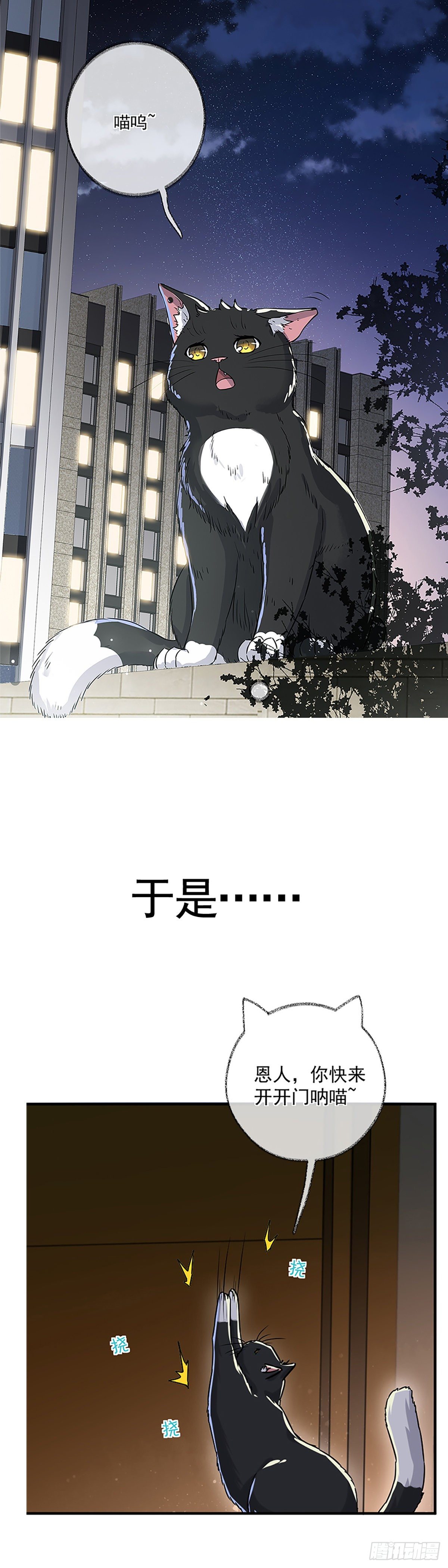 预告8