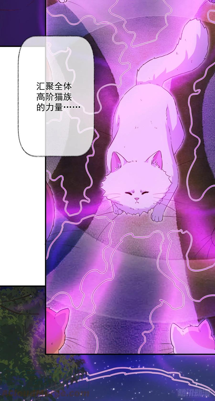 汪汪汪喵~26