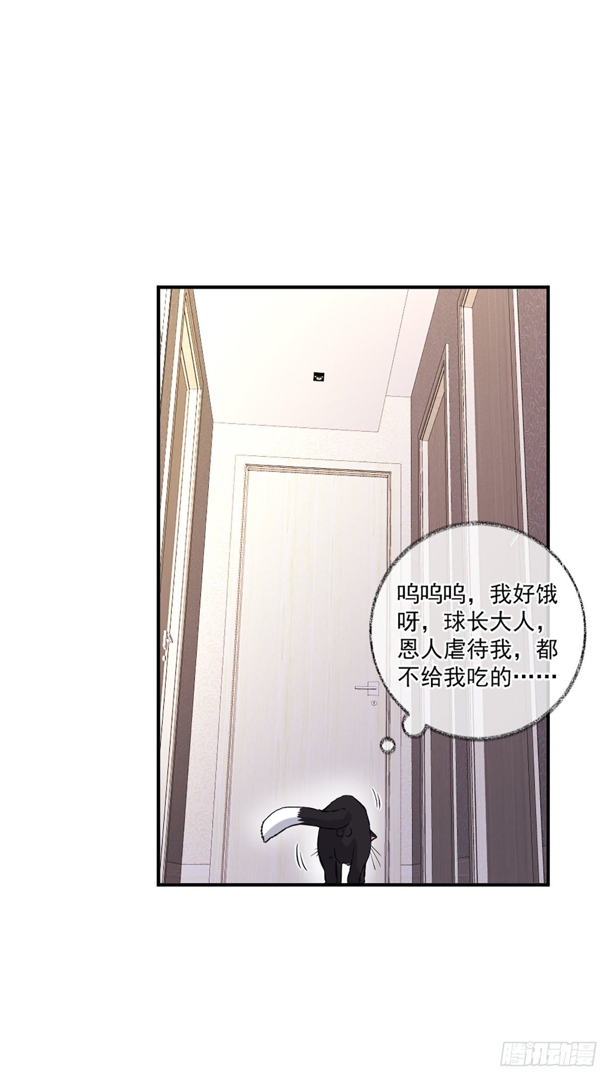 我要吃肉喵~17
