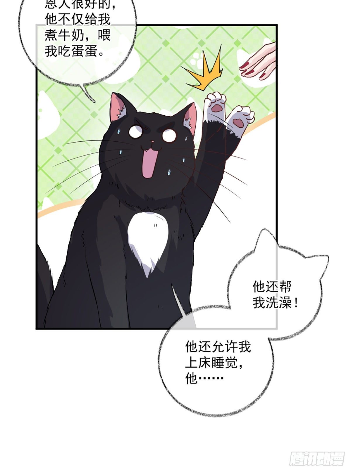你是这样的恩人喵~12