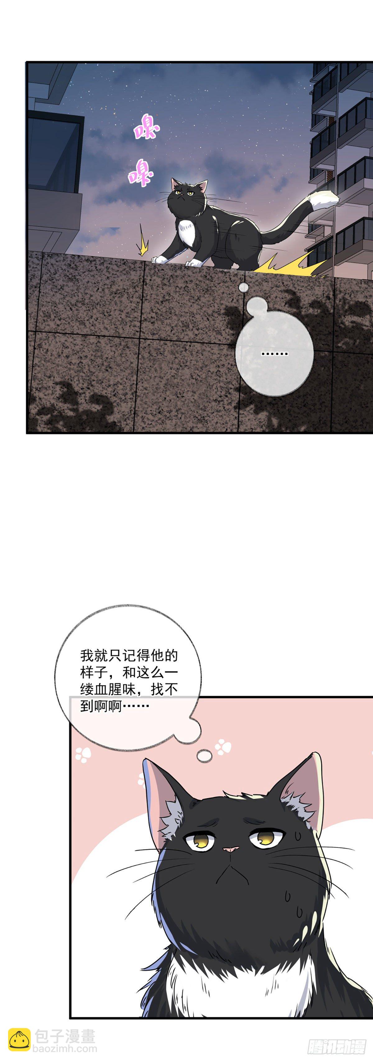 恩人你在哪里呀喵~18