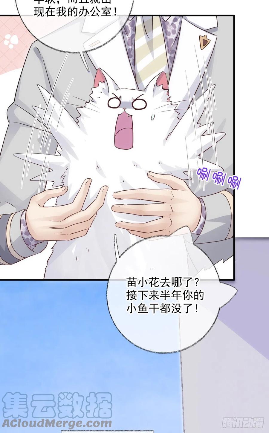 还是我不对劲喵~8