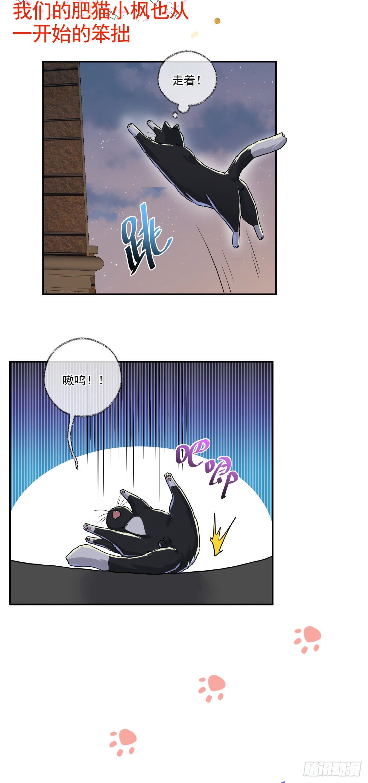完结：一如初见喵~22
