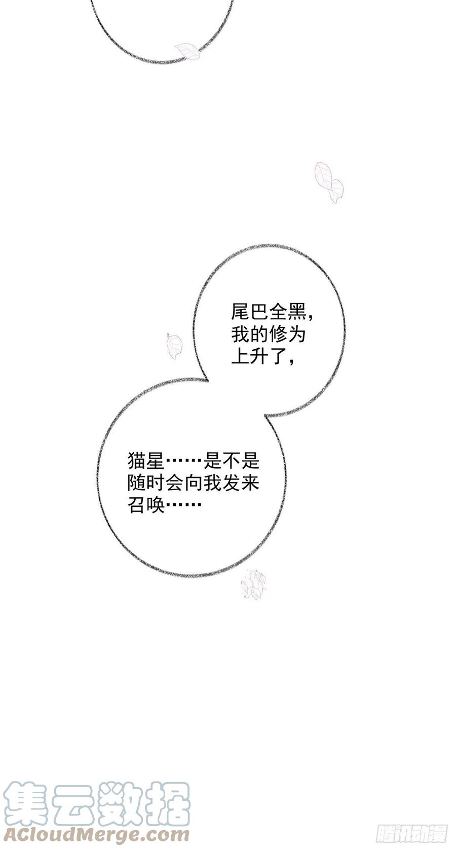 你我的见证喵~36