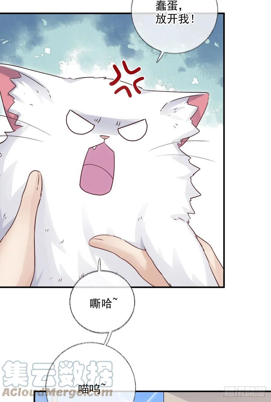 还是我不对劲喵~6