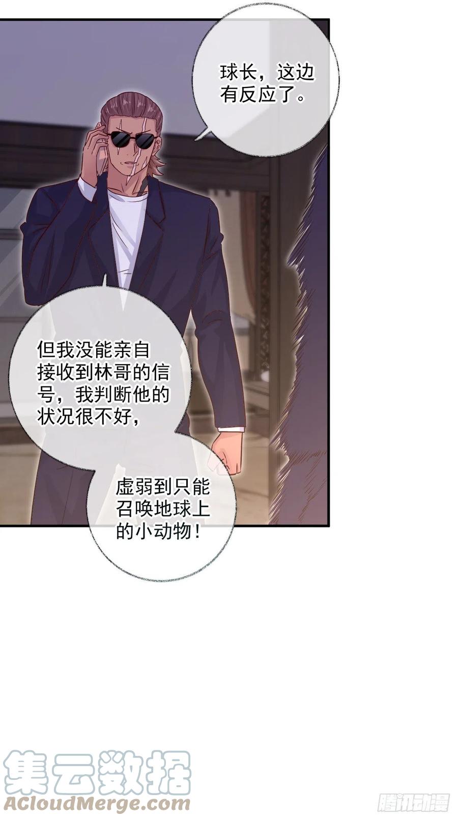 来不及了喵~4