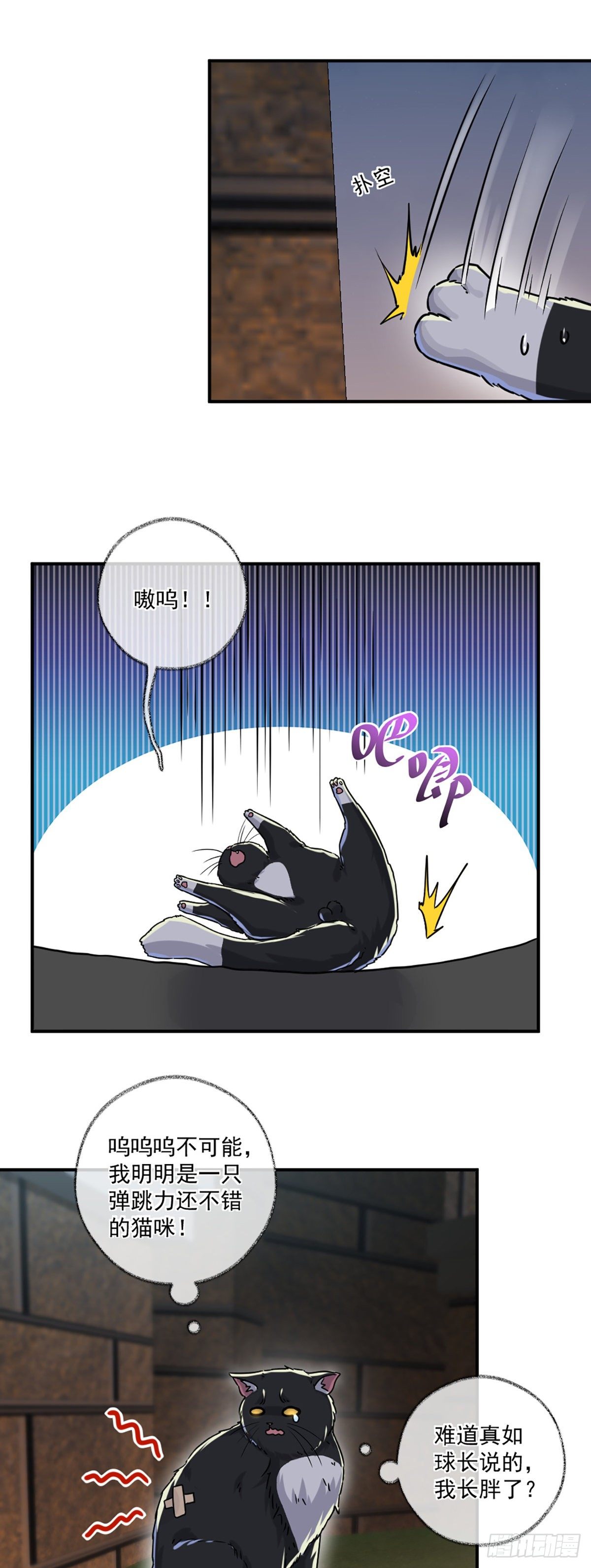 嘀嘀狗车14