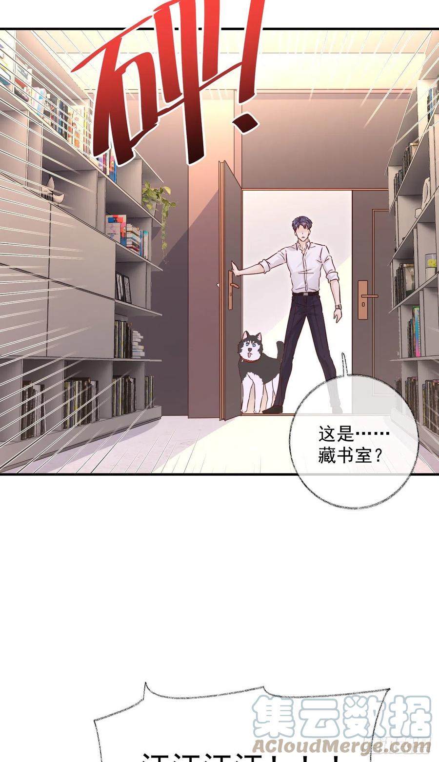 来不及了喵~6