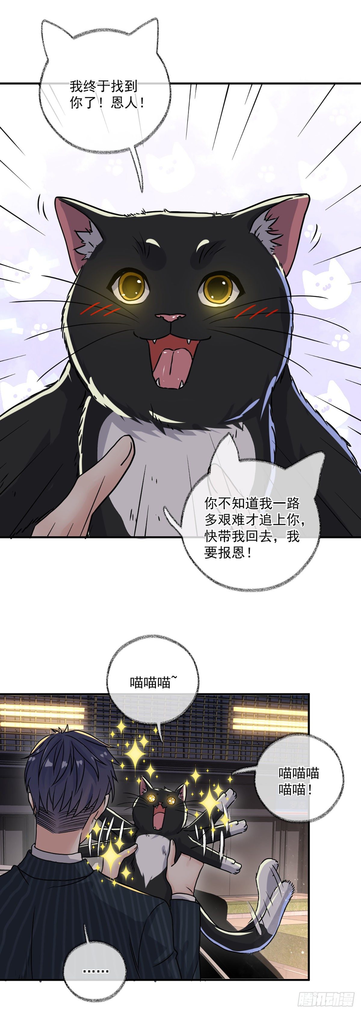 速度与激情喵~18