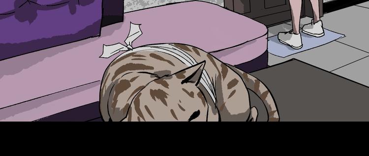 第8话 猫的报恩（3）68