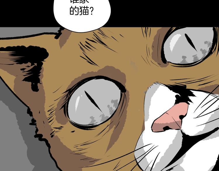 第6话 猫的报恩（1）6