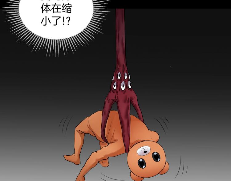 第25话 着熊装的人203