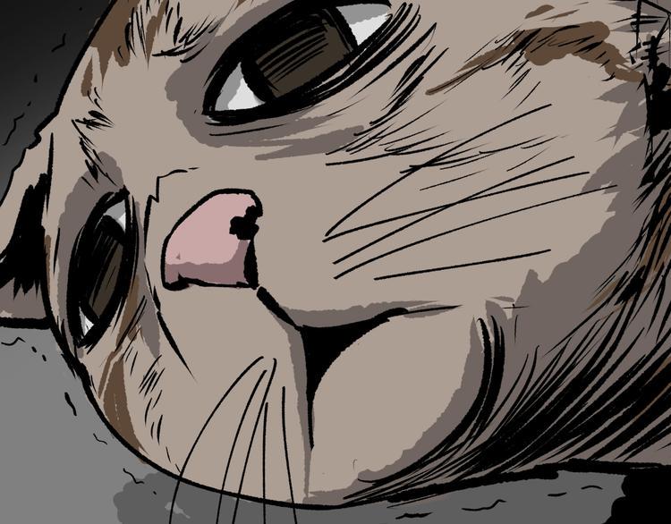 第6话 猫的报恩（1）88