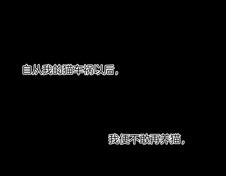 第6话 猫的报恩（1）18