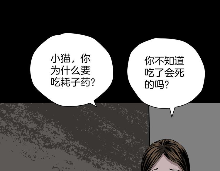 第8话 猫的报恩（3）28