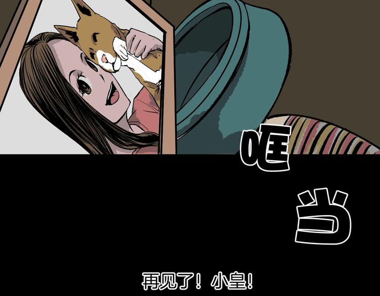 第6话 猫的报恩（1）52