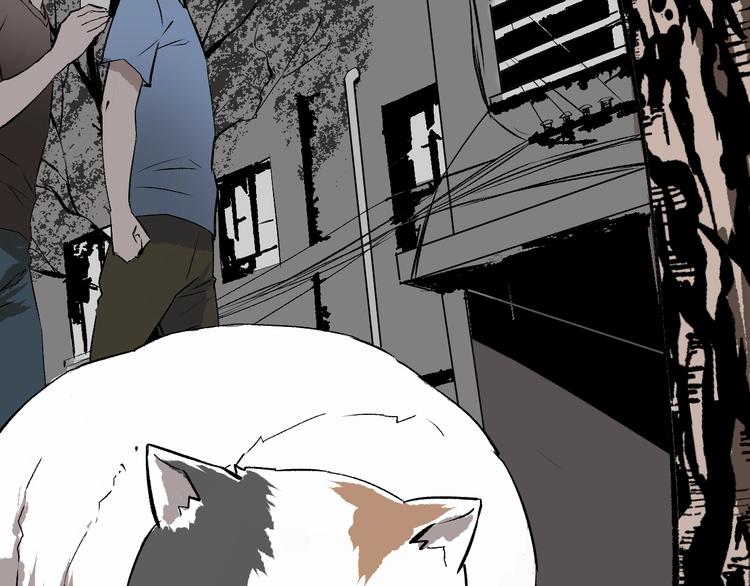 第13话 精算师（1）136