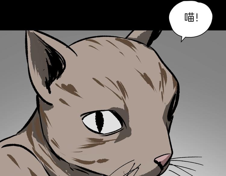 第8话 猫的报恩（3）71