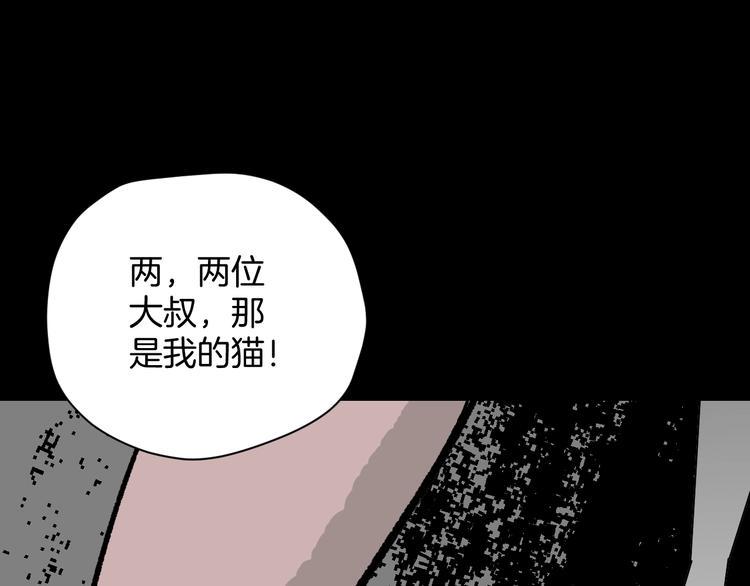 第7话 猫的报恩（2）2