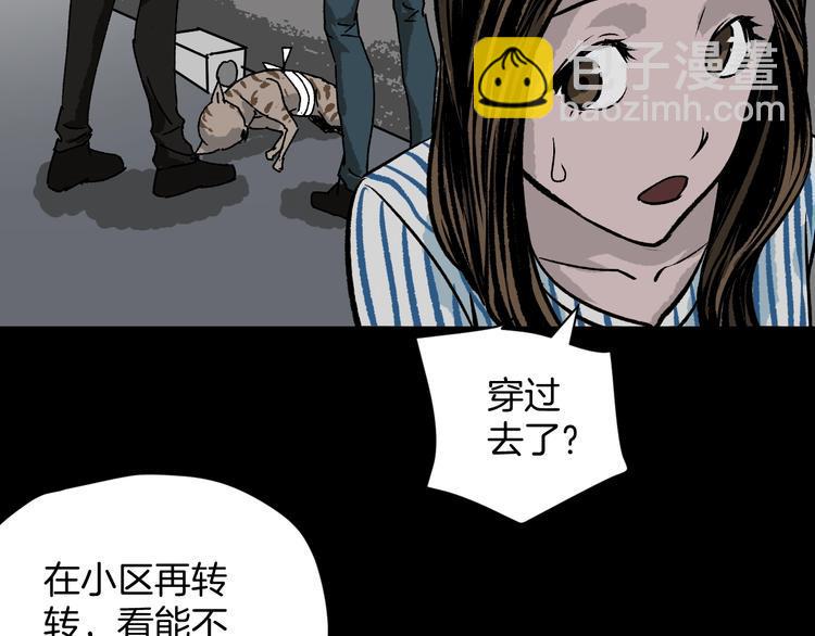 第8话 猫的报恩（3）12