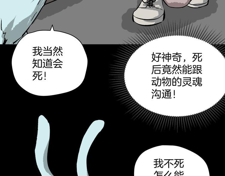 第8话 猫的报恩（3）30