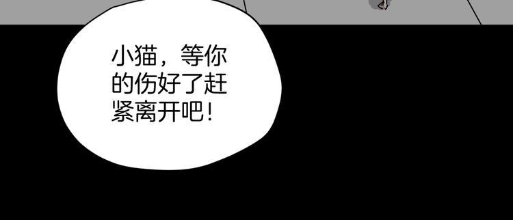 第7话 猫的报恩（2）114