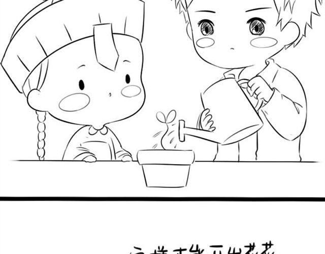 开不出花花了2