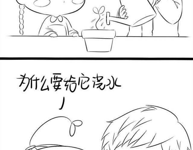 开不出花花了1