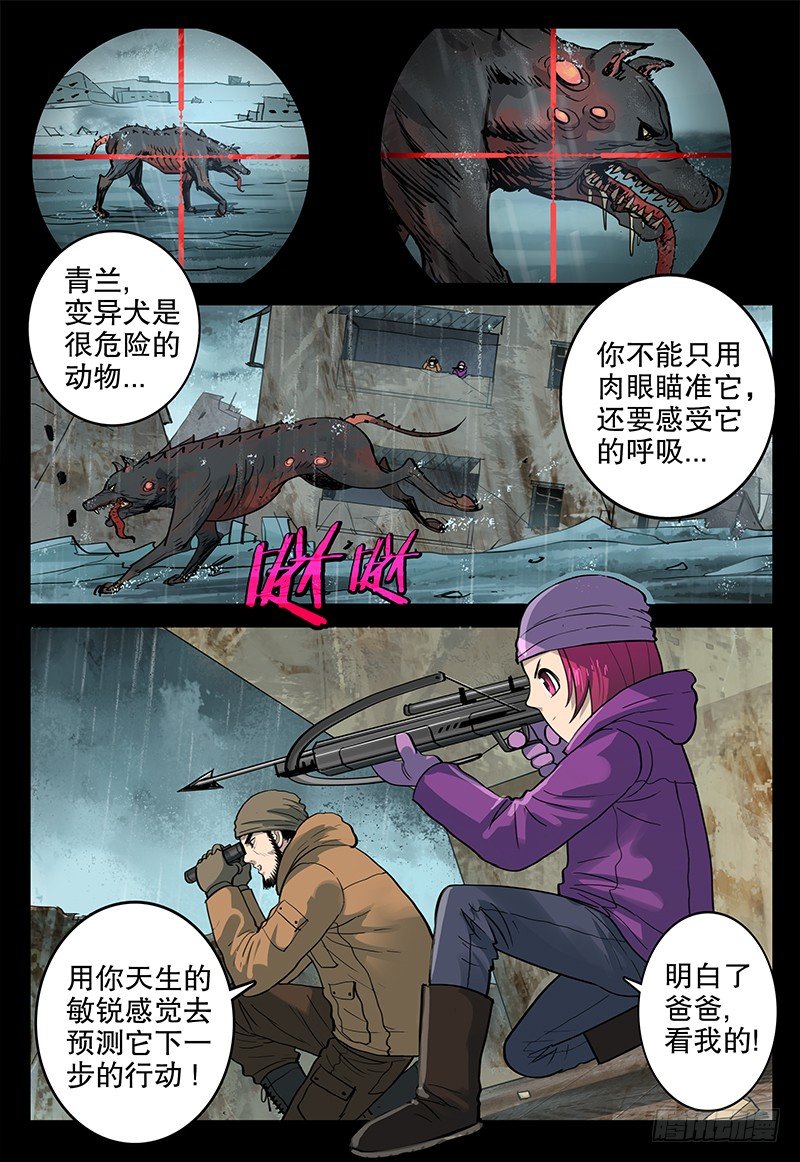 025 青兰11