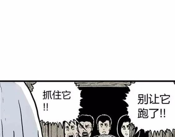 地狱冥河之花#4116