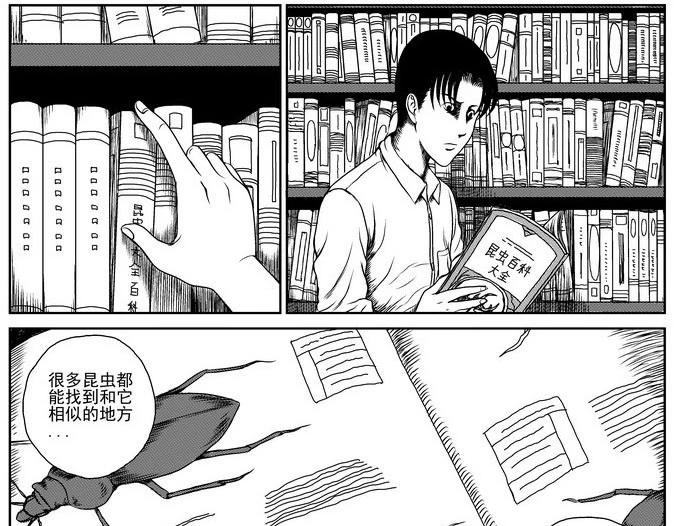昆虫学家（上）44