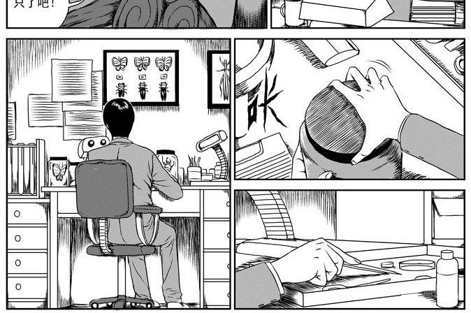 昆虫学家（上）29
