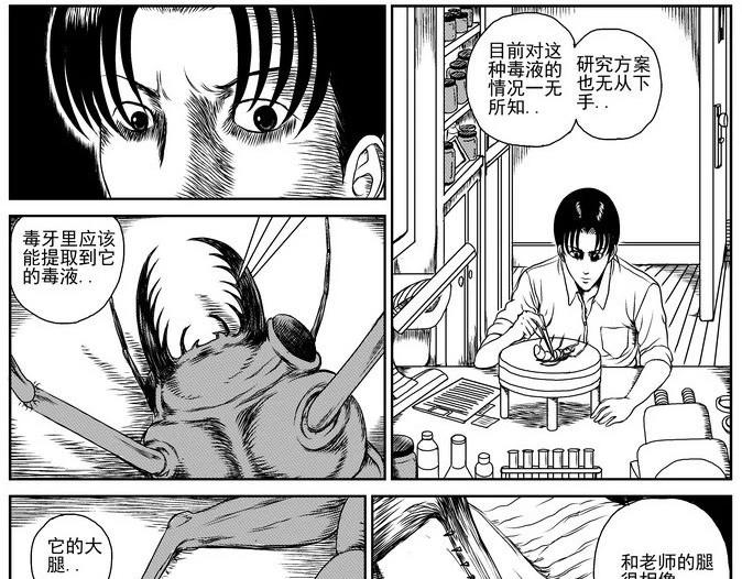 昆虫学家（上）38