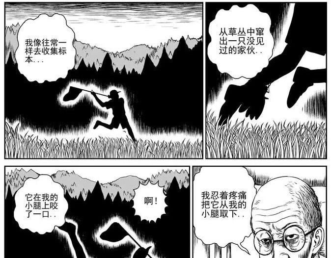 昆虫学家（上）20