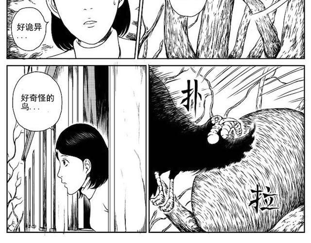 巢13