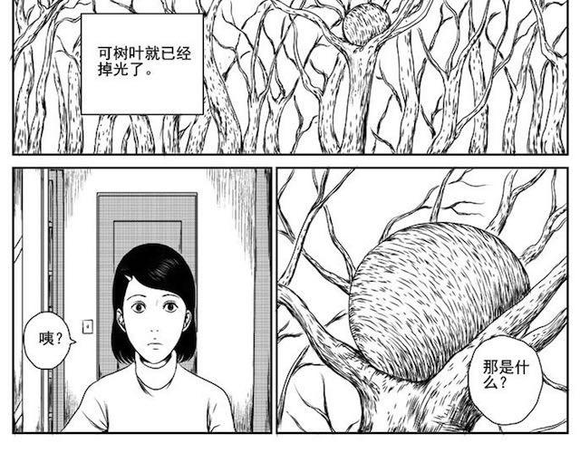 巢10