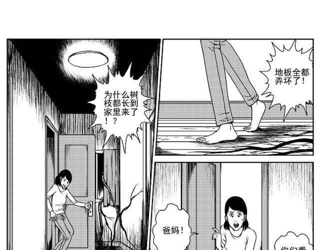 巢54