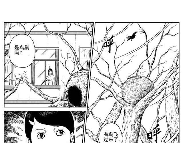 巢12