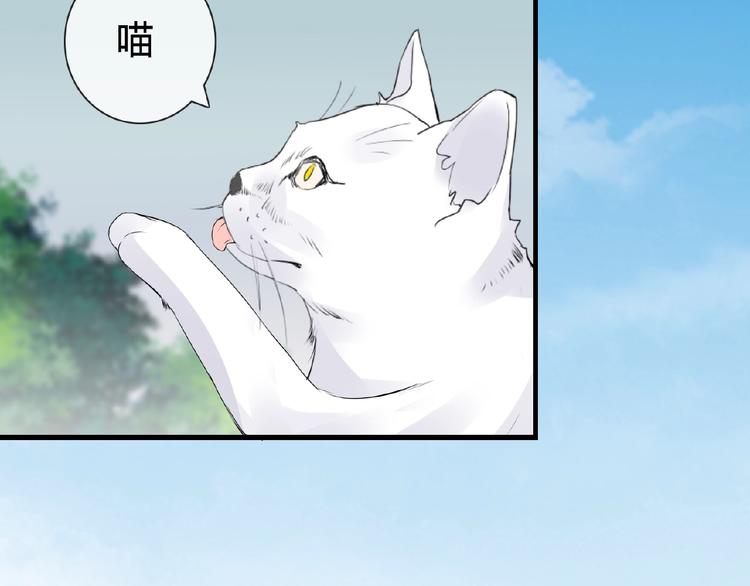 第42话 猫妖26