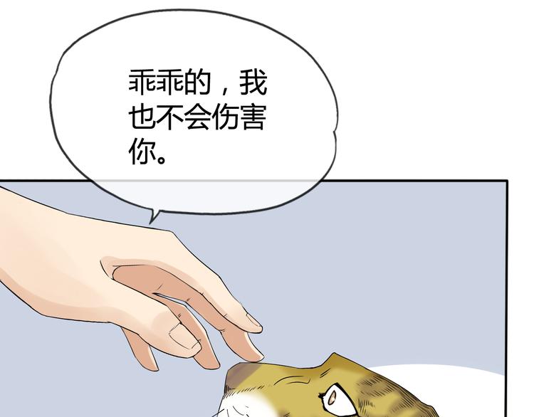 第3话 心中有猛虎细嗅蔷薇61