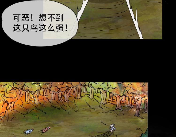第9话 神鸟现世！55