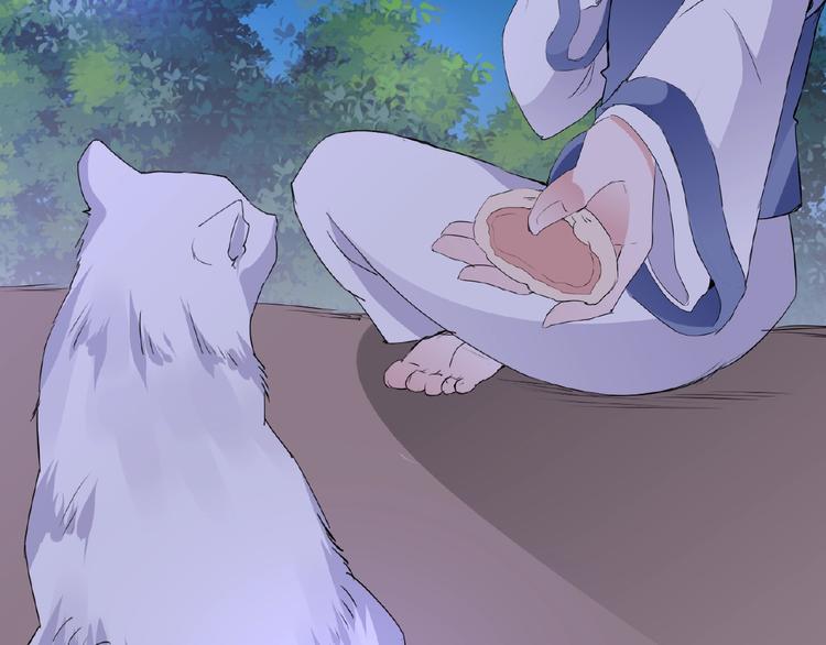 第43话 猫妖的执念52